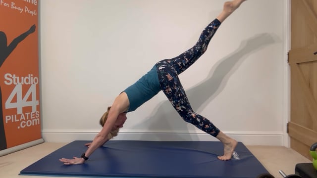 mobility exercises for Canicross