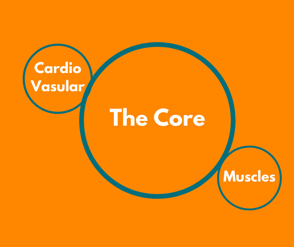 Image showing how important the core is in Benefiting Pilates for runners