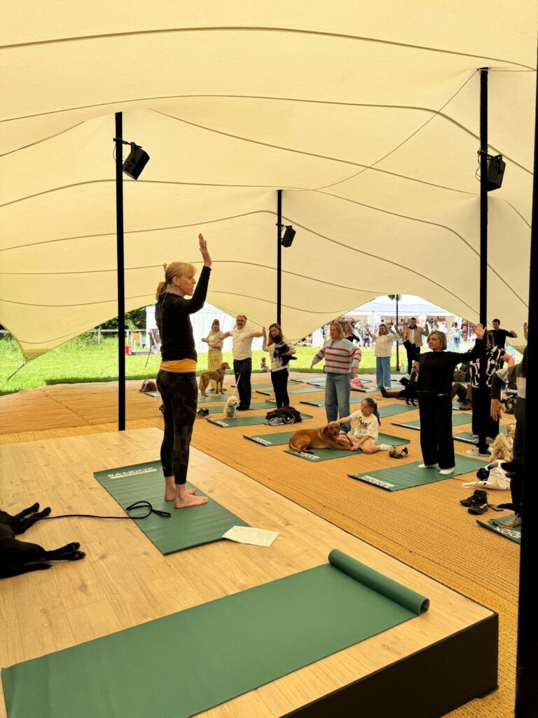 Pilates with dogs